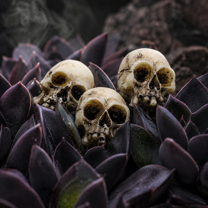 20er Set Mini Totenköpfe für Halloween Deko