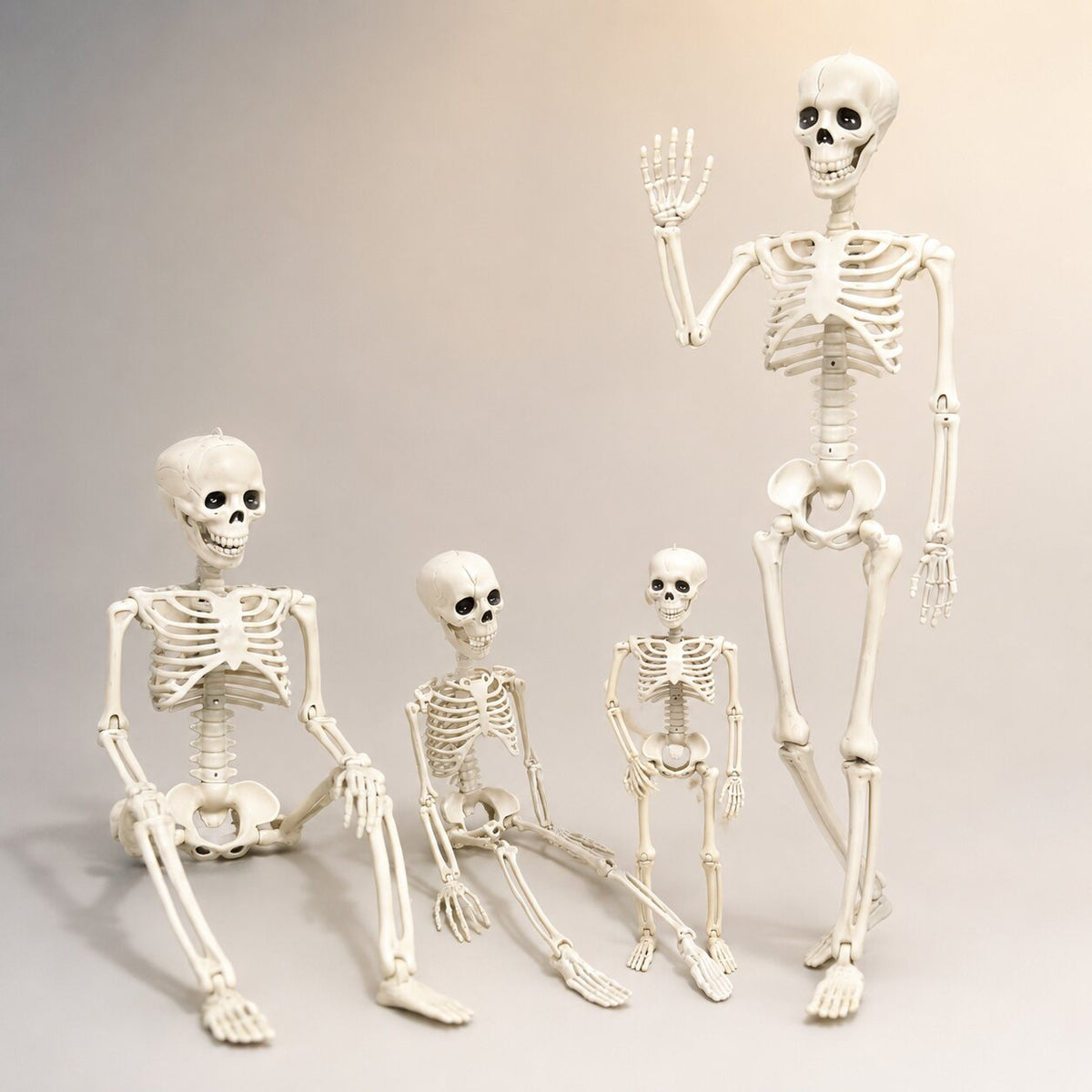 Posierbares Skelett für Halloween